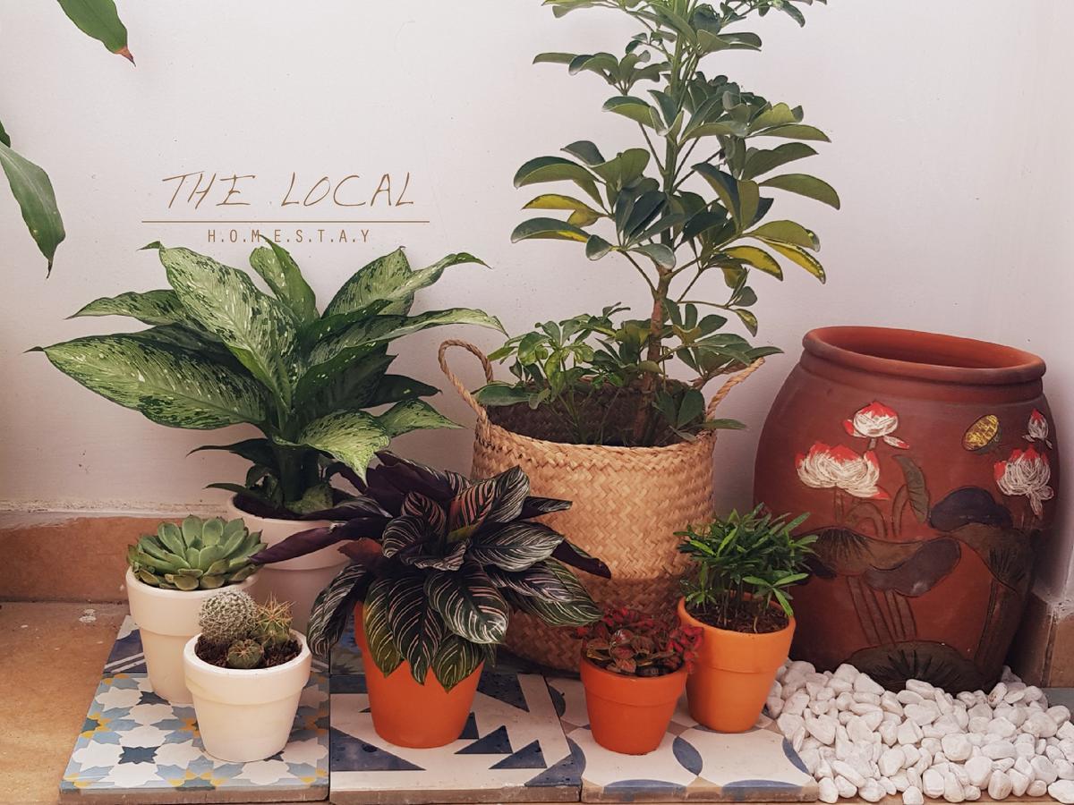مدينة هوشي منه The Local Homestay المظهر الخارجي الصورة
