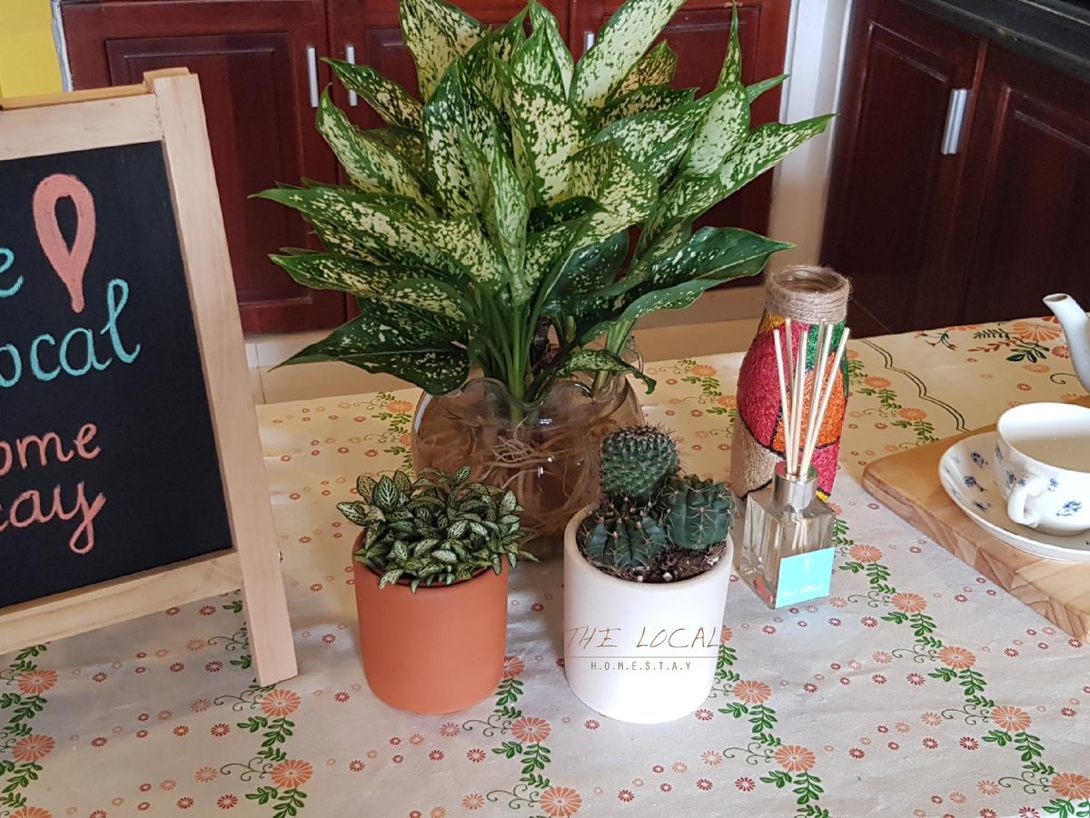 مدينة هوشي منه The Local Homestay المظهر الخارجي الصورة