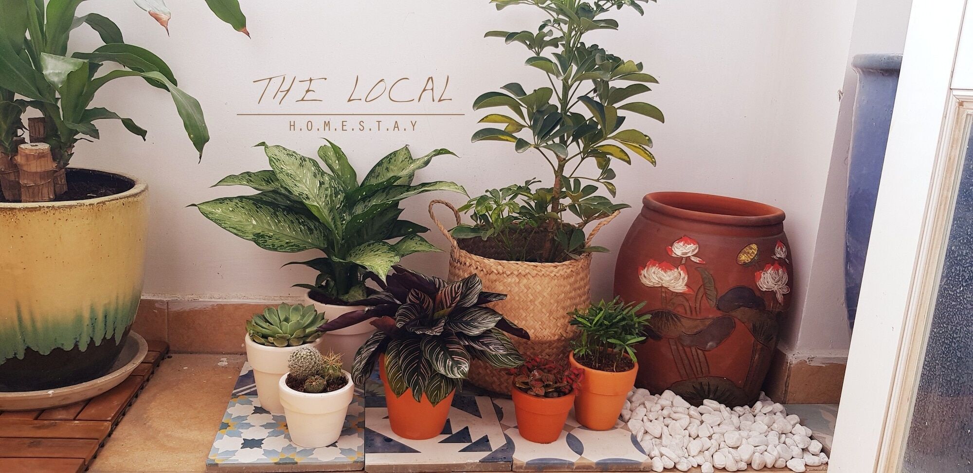 مدينة هوشي منه The Local Homestay المظهر الخارجي الصورة